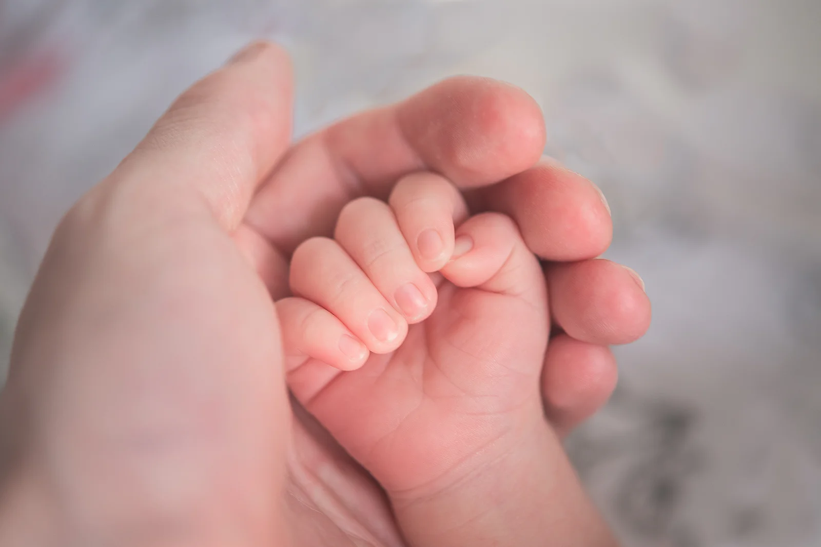 Como incluir o bebé no seguro de saúde logo à nascença
